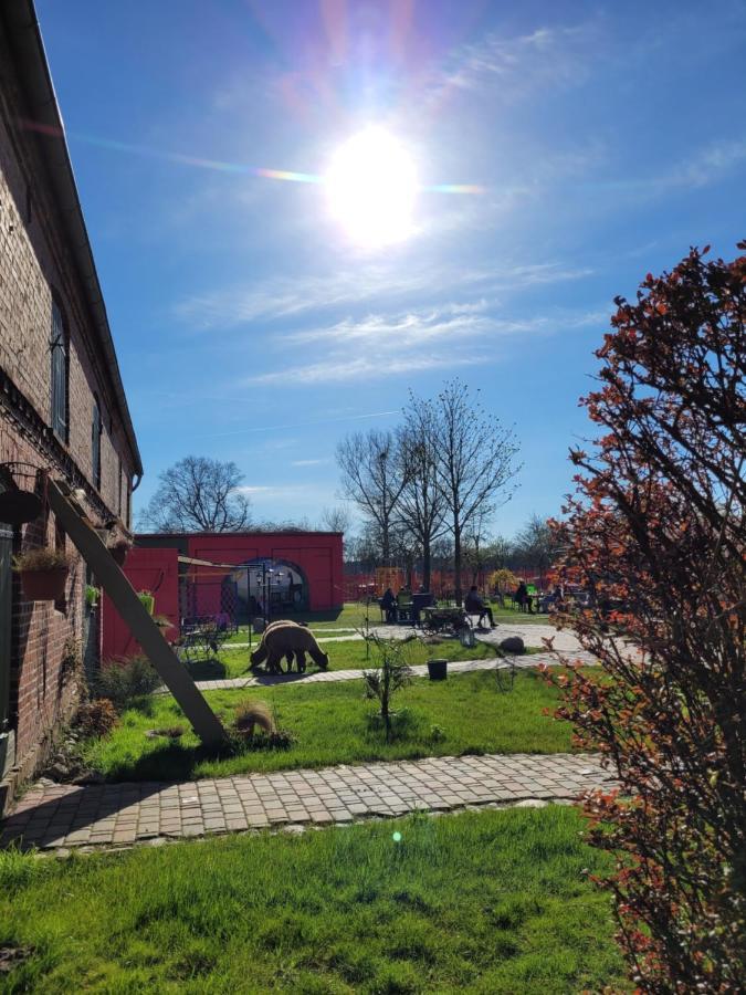 Maerchenhaft Urlauben Auf Dem Alpakahof Apartment Rambow Bagian luar foto
