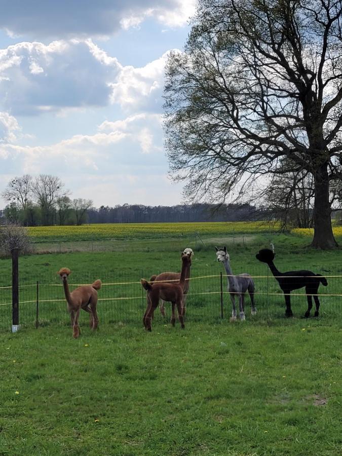 Maerchenhaft Urlauben Auf Dem Alpakahof Apartment Rambow Bagian luar foto