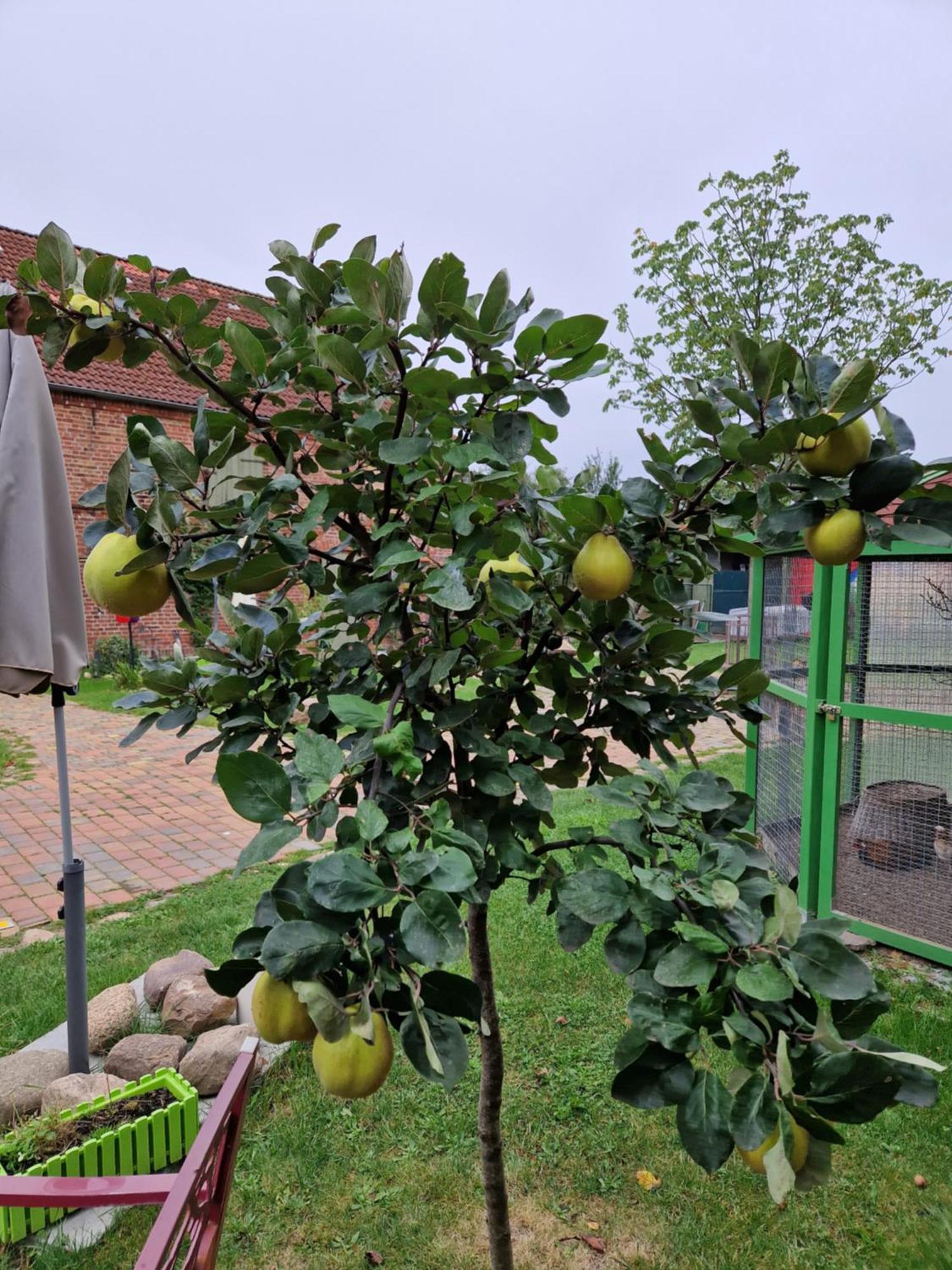 Maerchenhaft Urlauben Auf Dem Alpakahof Apartment Rambow Bagian luar foto